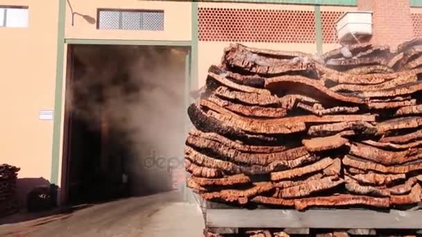 SAO BRAS DE ALPORTEL, PORTUGAL: 14 NOV 2016 - Montón de corcho recién salido de la sala de calderas, humeante en el exterior de la fábrica . — Vídeos de Stock