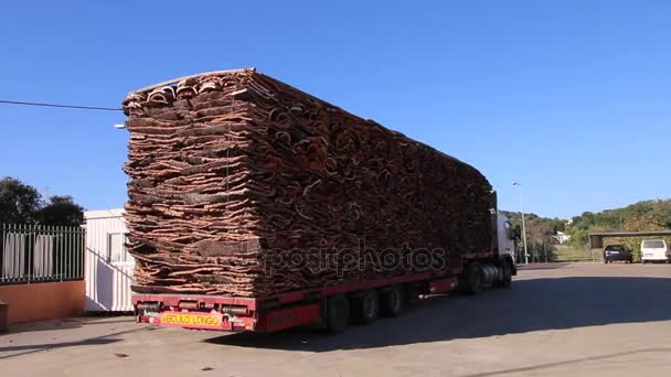 SAO BRAS DE ALPORTEL, PORTUGAL : 14 NOV, 2016 - Un camion lourd transportant du liège arrive à l'usine . — Video