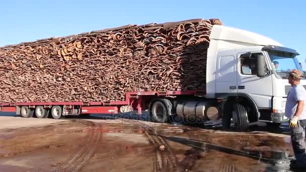 SAO BRAS DE ALPORTEL, PORTUGAL: 14 NOV 2016 - Llega a la fábrica un camión pesado que transporta corcho . — Vídeo de stock