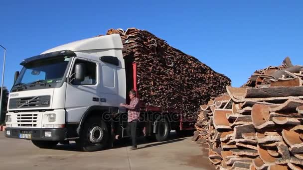 САО Бюстгальтери De Alportel, Португалія: 14 листопада, 2016 - важких вантажівок, транспортування корковий прибуває на заводі. — стокове відео