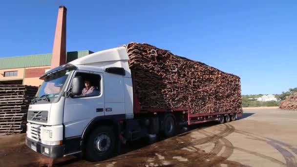 Sao Bras De Alportel, Portugal: 14 Nov 2016 - en tunga lastbilar som transporterar kork anländer på fabriken. — Stockvideo
