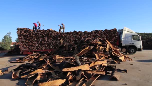 SAO BRAS DE ALPORTEL, PORTUGAL: 14 NOV, 2016 - Trabalhadores descarregam um caminhão pesado de transporte de cortiça na fábrica — Vídeo de Stock