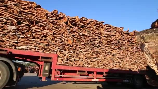SAO BRAS DE ALPORTEL, PORTUGAL: 14 NOV 2016 - Llega a la fábrica un camión pesado que transporta corcho . — Vídeo de stock