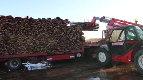 SAO BRAS DE ALPORTEL, PORTUGAL: 14 NOV 2016 - Los trabajadores descargan un camión pesado de transporte de corcho en la fábrica — Vídeo de stock