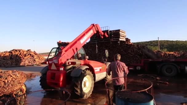 SAO BRAS DE ALPORTEL, PORTUGAL: 14 NOV 2016 - Los trabajadores descargan un camión pesado de transporte de corcho en la fábrica — Vídeo de stock