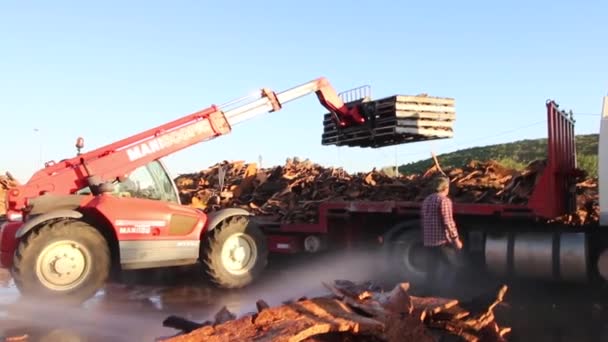 Sao Bras De Alportel, Portugal: 14 Nov 2016 - arbetstagare lasta tunga lastbilen transport av kork i fabriken — Stockvideo
