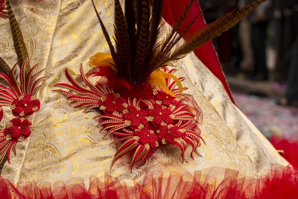 Elementos de design de vestido de Carnaval — Fotografia de Stock