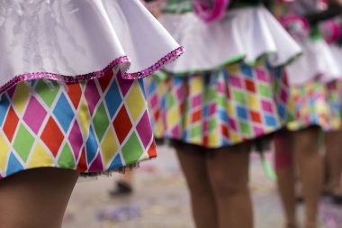 Tasarım öğeleri karnaval elbise