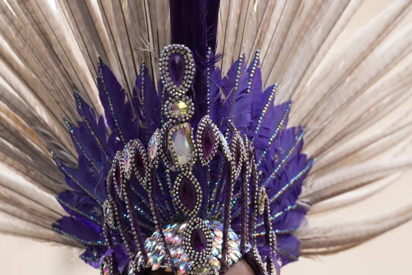 Elementos de diseño de Vestido de Carnaval — Foto de Stock