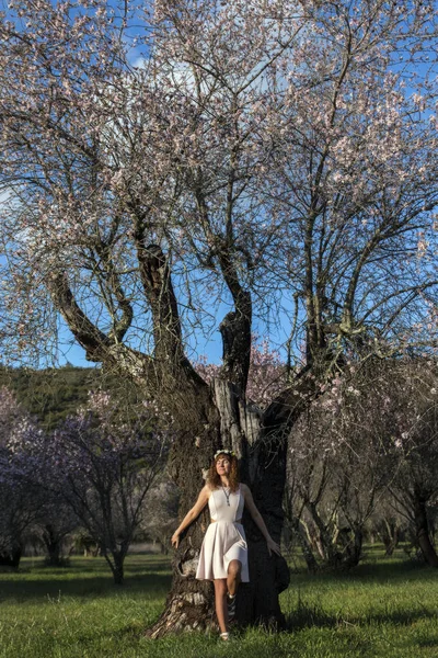 Krásná žena vedle mandlové strom — Stock fotografie