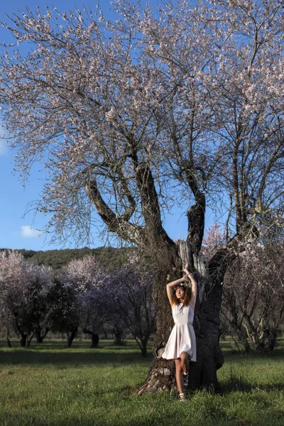 Krásná žena vedle mandlové strom — Stock fotografie