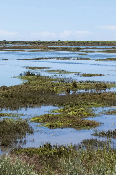 Hermosos pantanos en Ria Formosa — Foto de Stock