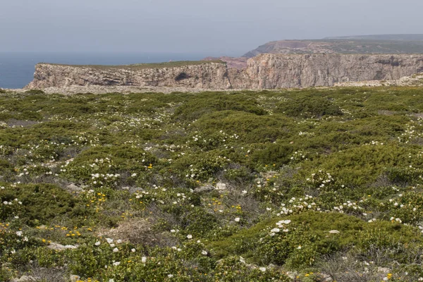 Paysage côtier de Sagres — Photo