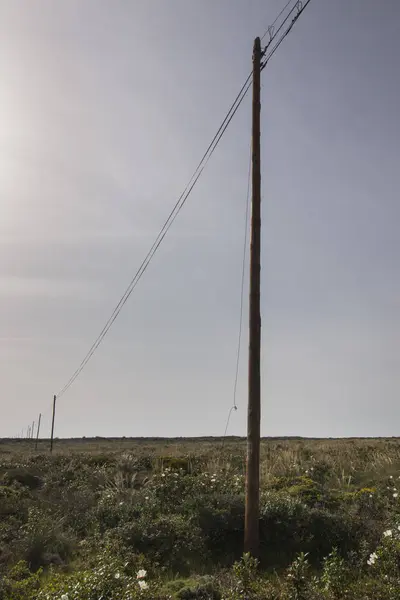 Fil d'électricité sur un champ — Photo