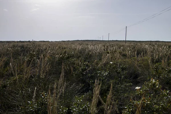 Fio de eletricidade em um campo — Fotografia de Stock