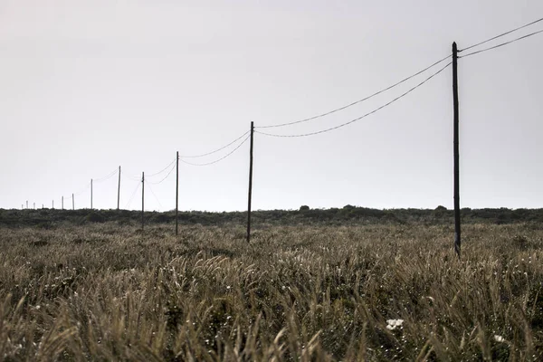 El wire på ett fält — Stockfoto