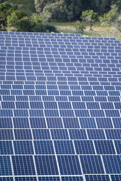 Campo de paneles solares —  Fotos de Stock