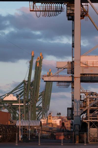 Sines port cranes — Stock Photo, Image