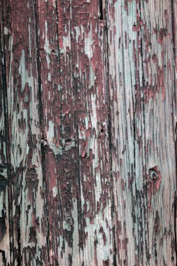 eski ahşap kapı doku