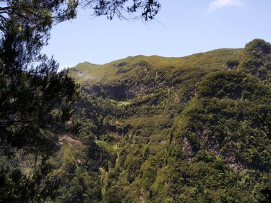 Madeira Adası Levada zam