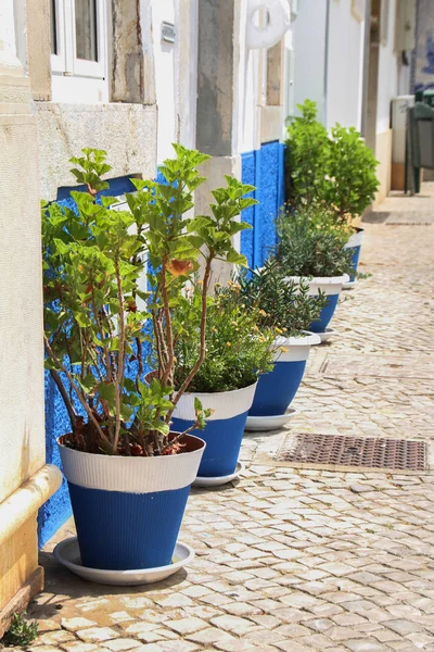 Typowy ulica Algarve — Zdjęcie stockowe