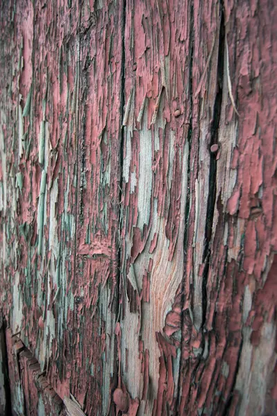 Old wooden door texture — Stock Photo, Image