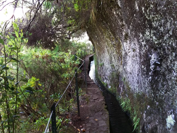 Caminata Levada en Isla de Madeira — Foto de Stock