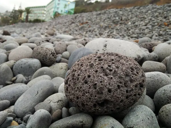 Tipica spiaggia di pietra a Madeira — Foto Stock