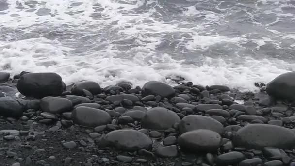 Plage de pierre typique de Madère — Video