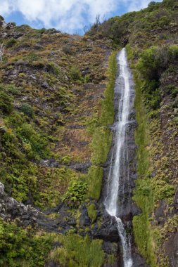 Madeira Adası şelale