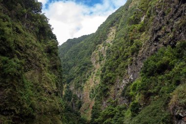 Kıyı dağ manzarası