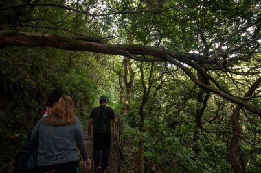 Levada Caldeirao Verde