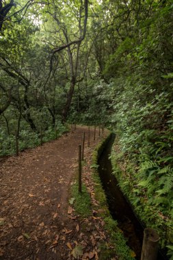 Levada Caldeirao Verde