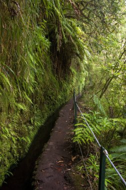 Levada Caldeirao Verde