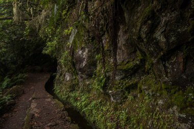 Levada Caldeirao Verde