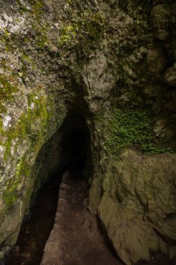 Levada Caldeirao Verde