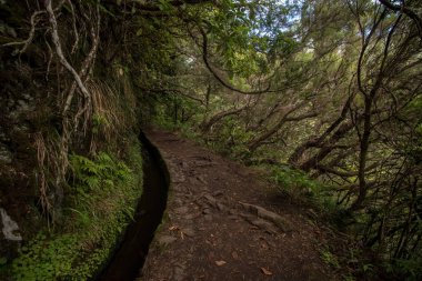 Levada Caldeirao Verde