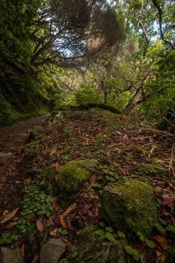 Levada Caldeirao Verde