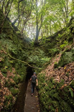 Levada Caldeirao Verde