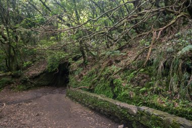Levada Caldeirao Verde