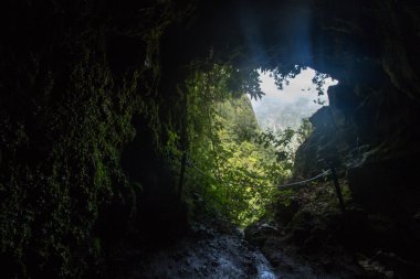 Levada Caldeirao Verde