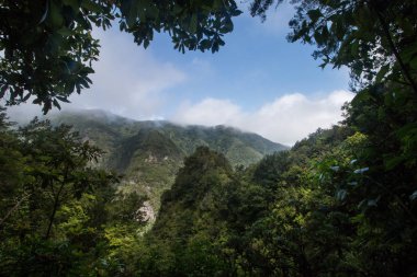 Levada Caldeirao Verde