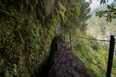 Levada Caldeirao Verde