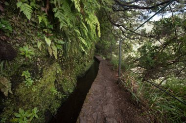 Levada Caldeirao Verde