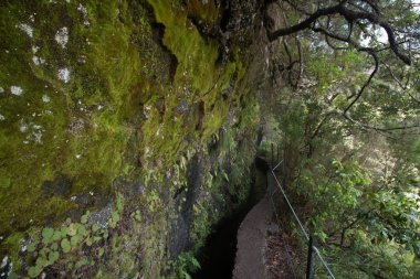 Levada Caldeirao Verde