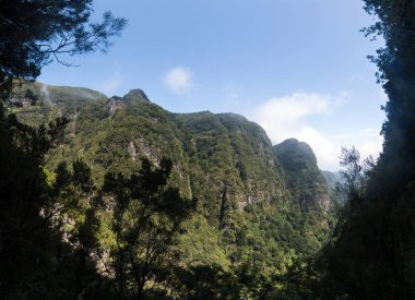 Levada Caldeirao Verde