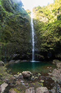 Levada Caldeirao Verde