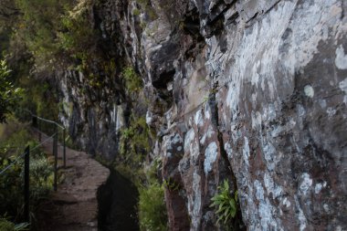 Levada Caldeirao Verde