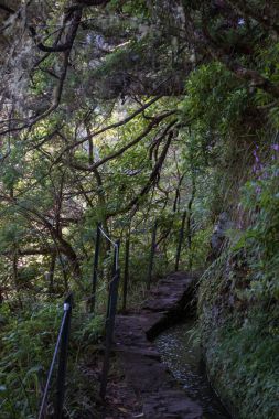 Levada Caldeirao Verde
