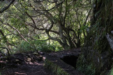 Levada Caldeirao Verde